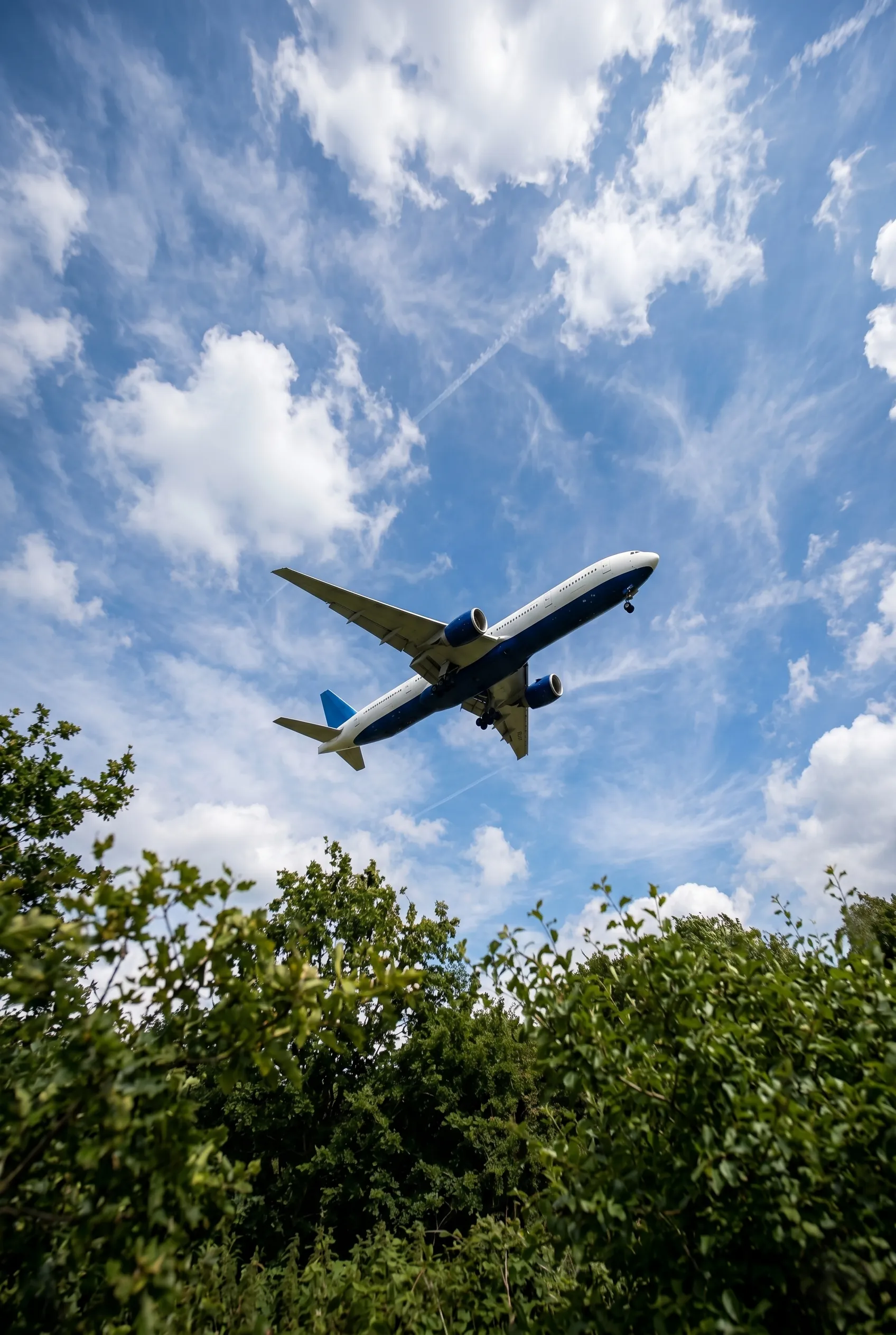 Plane-overhead-portrait